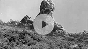 Godzilla, The Uncut Japanese Original
