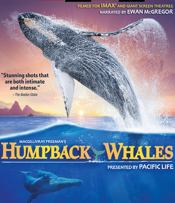 IMAX Humpback Whales